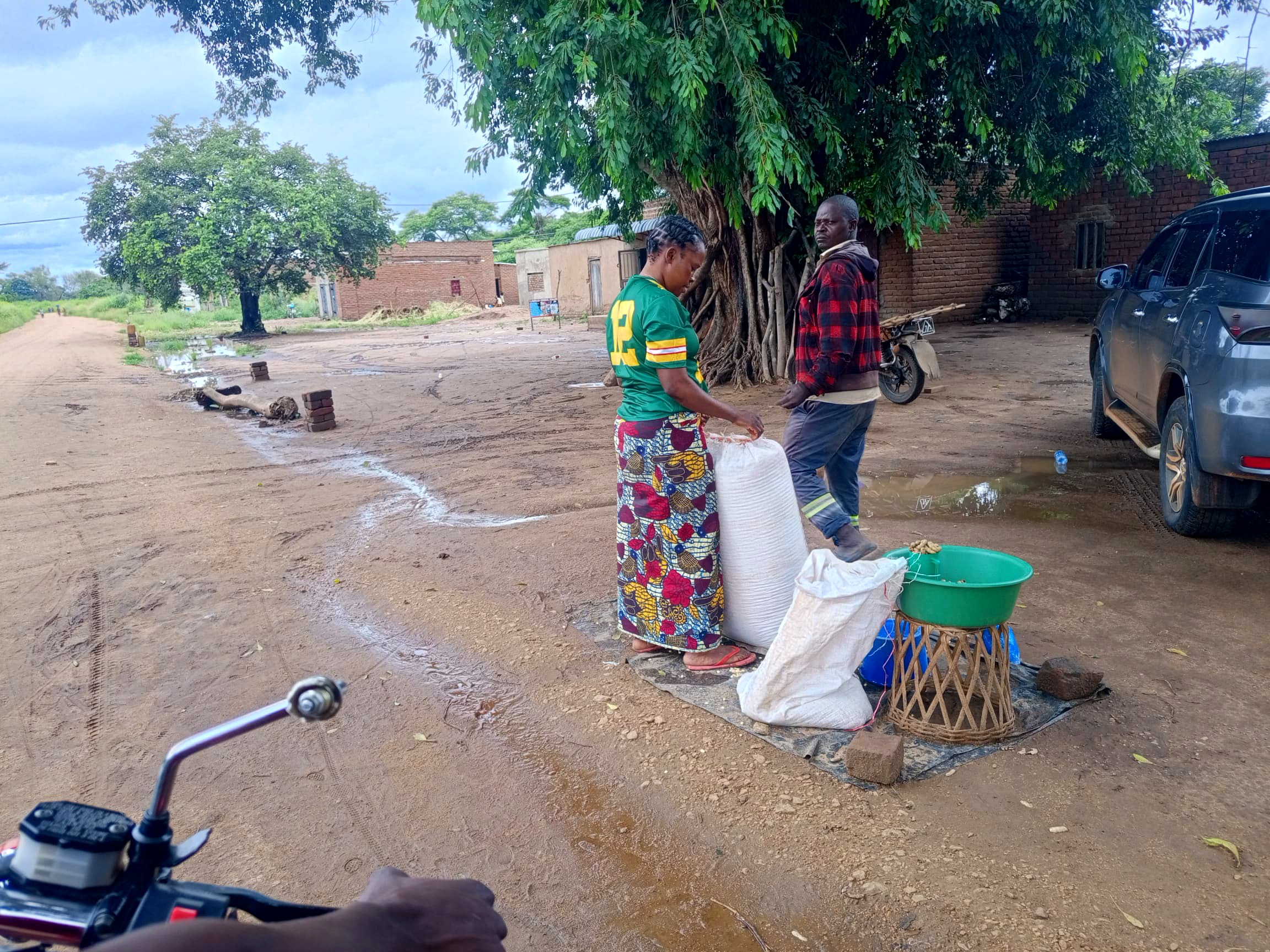 Bagging the harvest